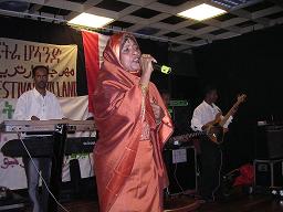Festival Eritrea Holland 2005 - Bilen artist